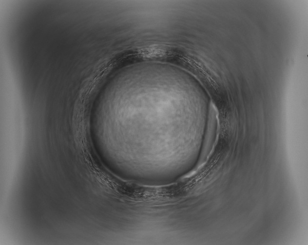 X0000113781345200909231307