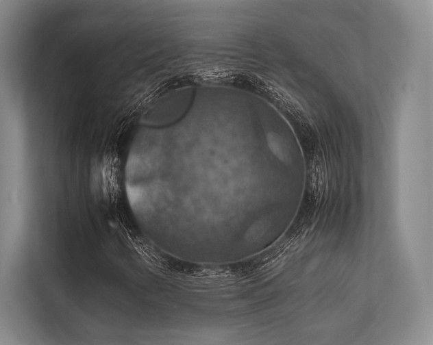 X0000113781346200909231307