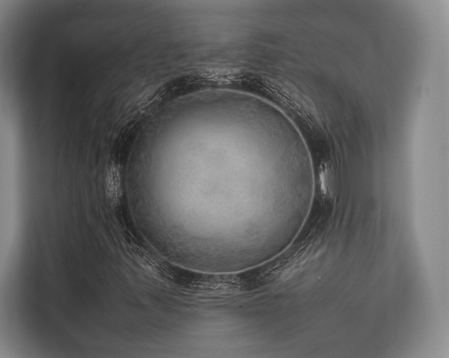 X0000113781347200909231307