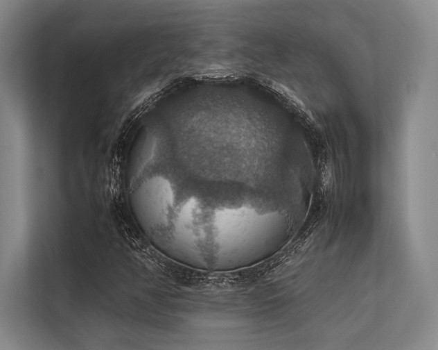 X0000113781350200909231307