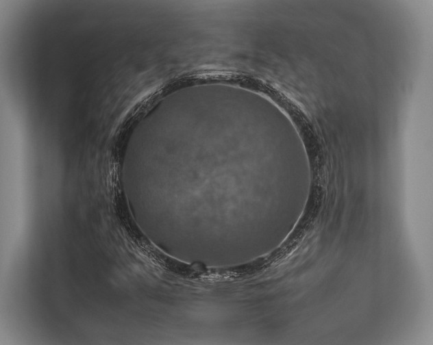 X0000113781351200909231307