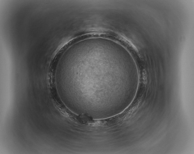 X0000113781352200909231307