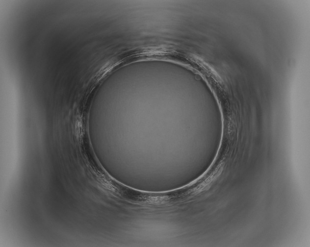 X0000113781353200909231307