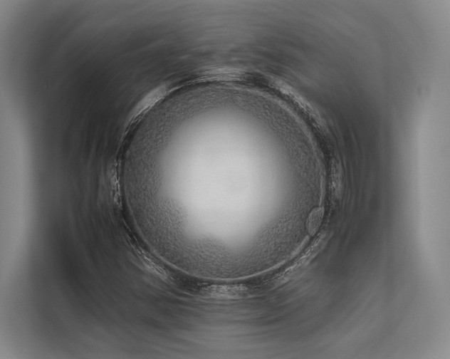 X0000113781354200909231307