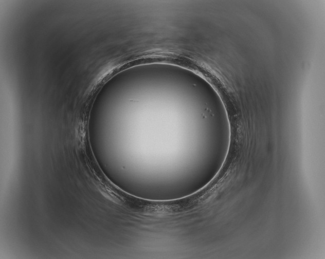 X0000113781355200909231307