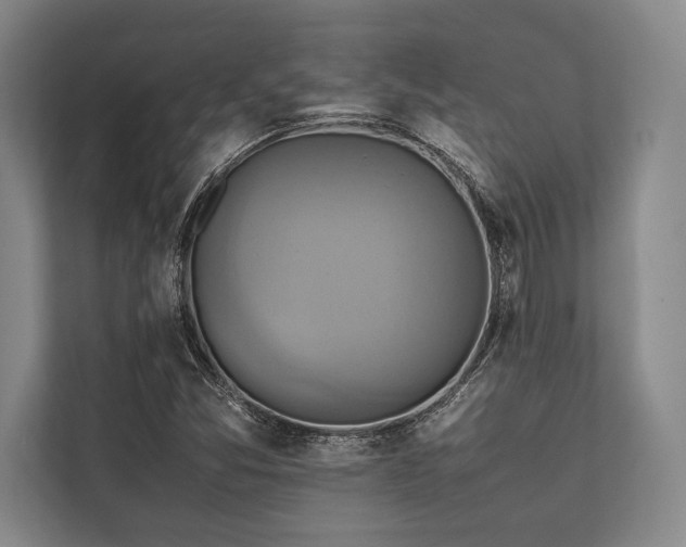 X0000113781357200909231307