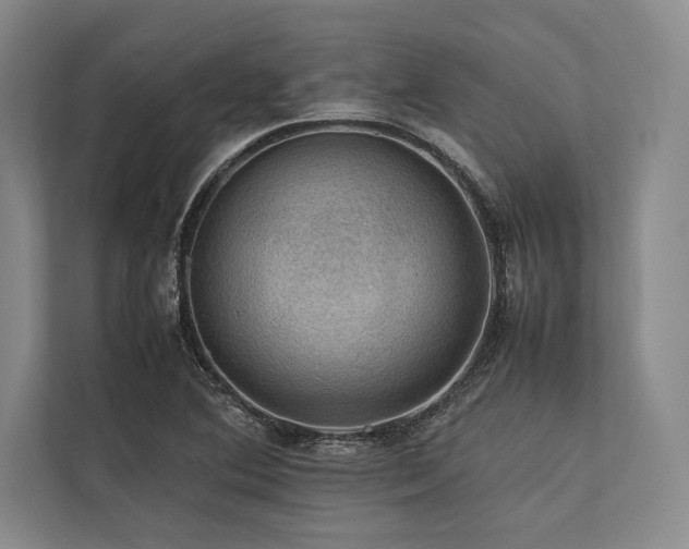 X0000113781364200909231307
