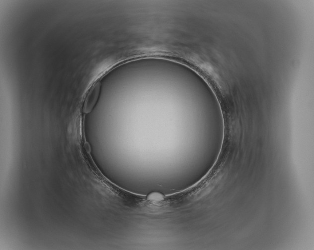X0000113781365200909231307