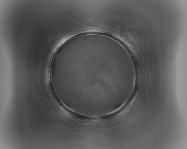 X0000113781367200909231307