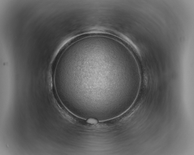 X0000113781368200909231307