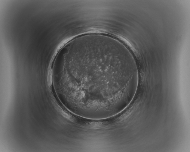 X0000113781371200909231307