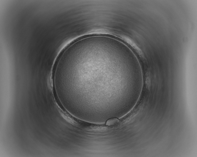 X0000113781372200909231307