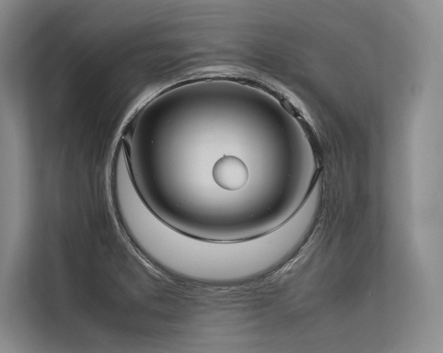X0000113781373200909231307