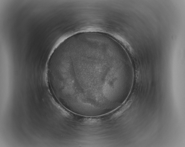 X0000113781374200909231307