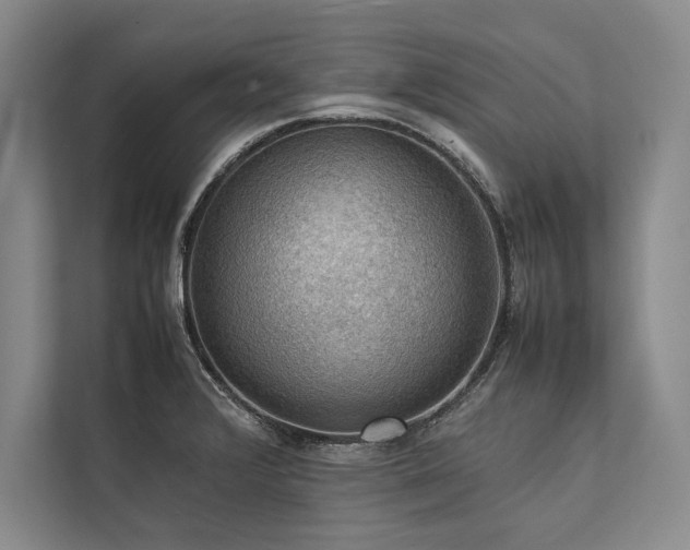 X0000113781376200909231307