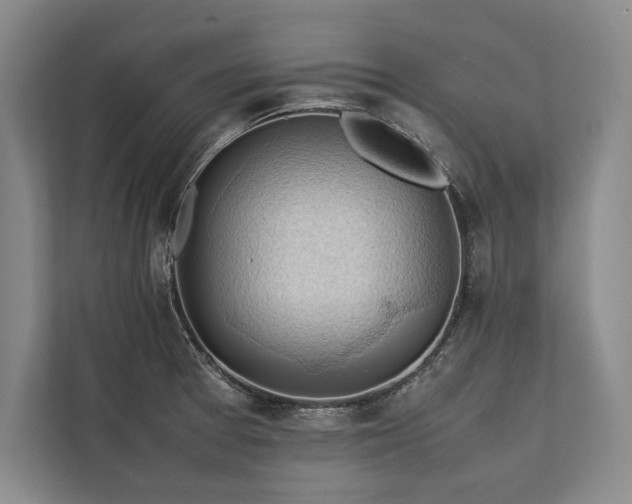 X0000113781377200909231307