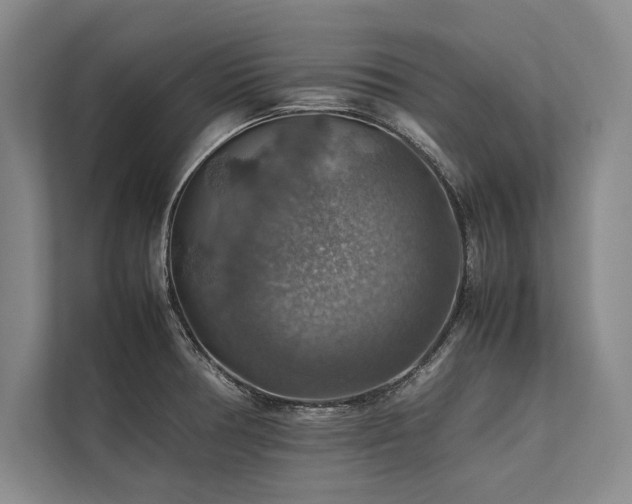 X0000113781378200909231307