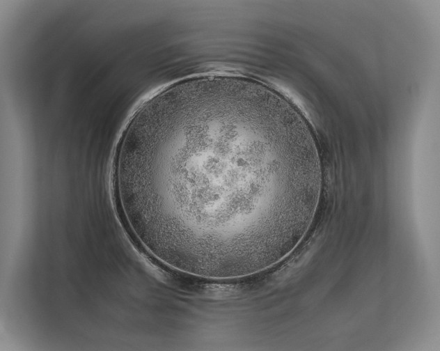 X0000113781379200909231307