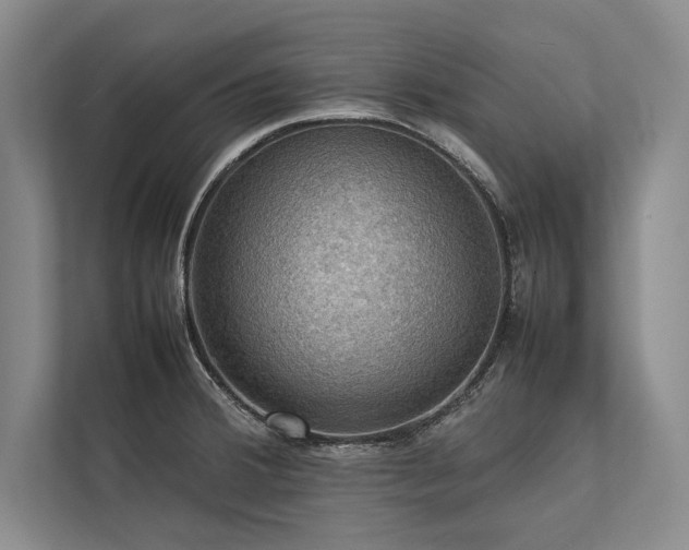 X0000113781380200909231307