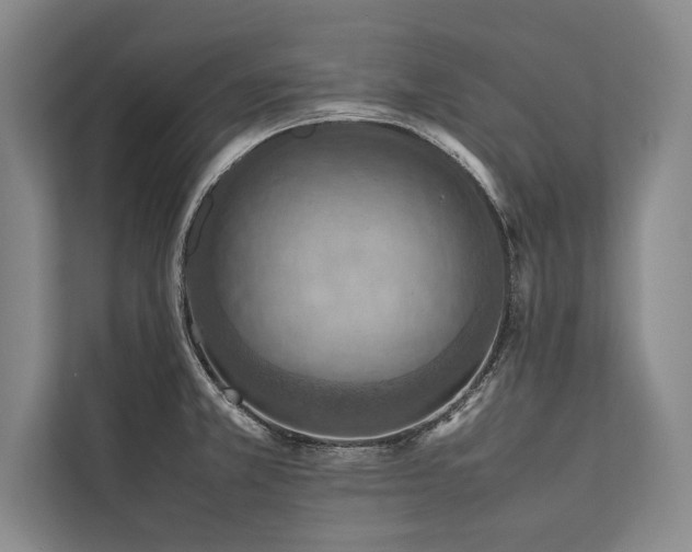 X0000113781381200909231307