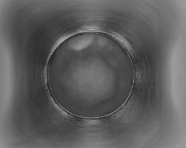 X0000113781382200909231307