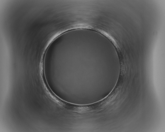 X0000113781383200909231306