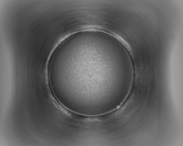 X0000113781384200909231306