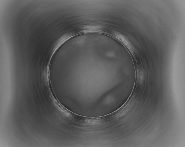 X0000113781386200909231306