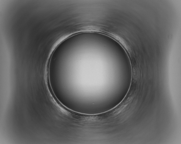 X0000113781387200909231306