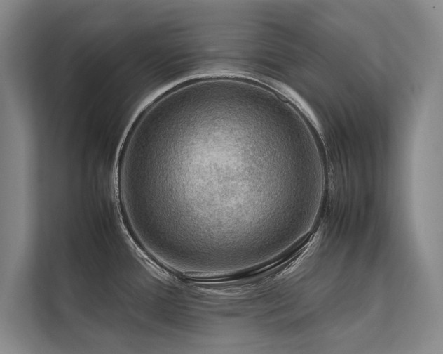 X0000113781388200909231306