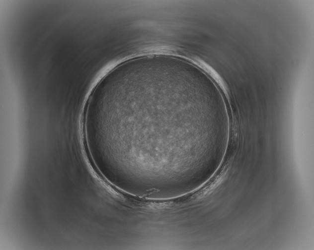 X0000113781389200909231306