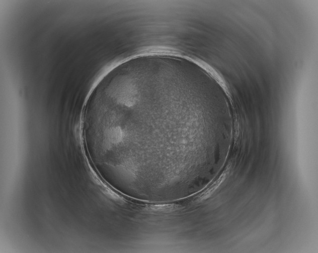 X0000113781390200909231306