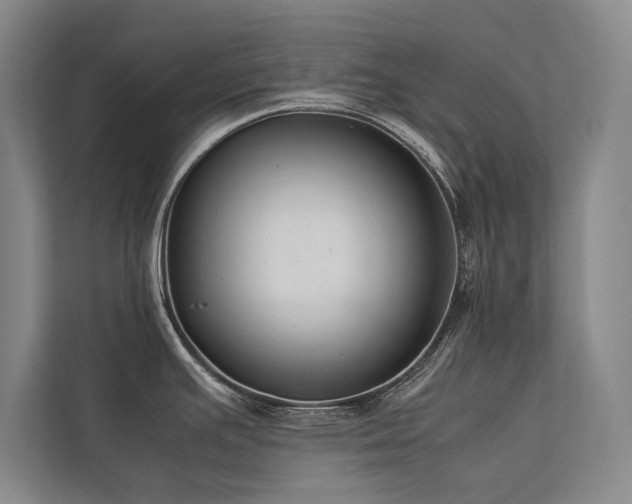 X0000113781391200909231306