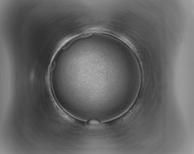 X0000113781392200909231306