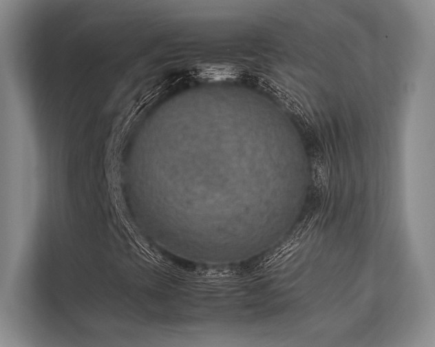 X0000113781393200909231306