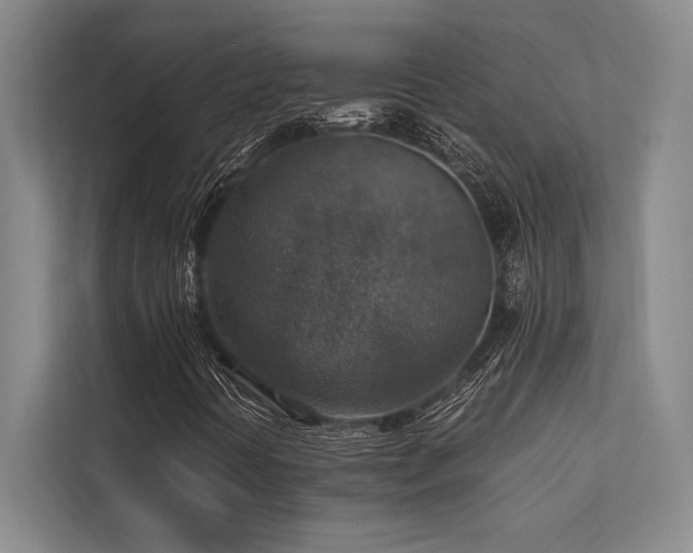 X0000113781394200909231306