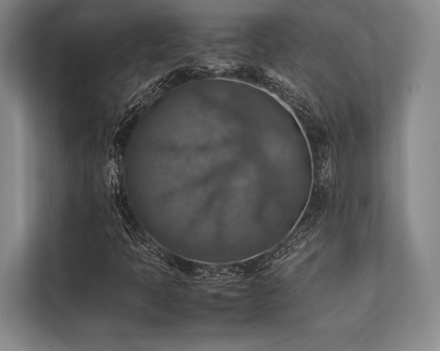 X0000113781397200909231306