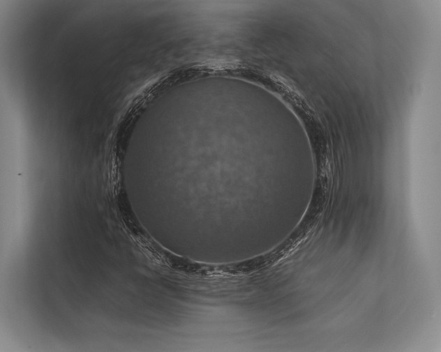 X0000113781398200909231306