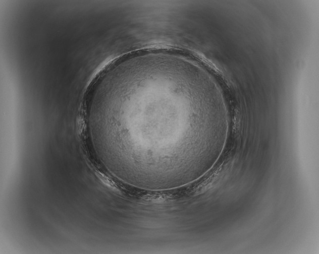X0000113781400200909231306