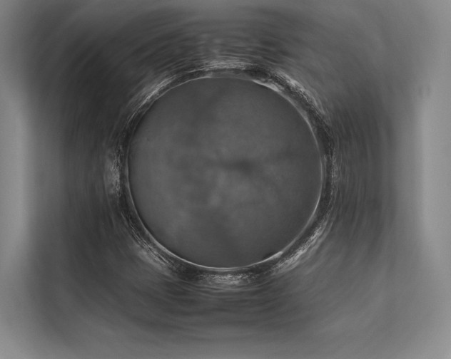 X0000113781401200909231306
