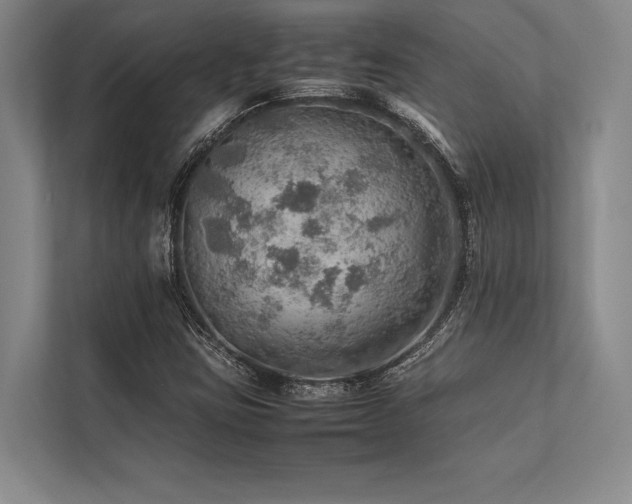 X0000113781403200909231306