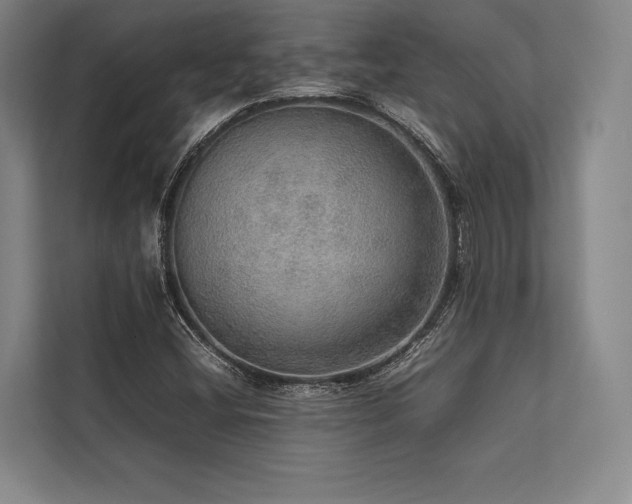 X0000113781404200909231306