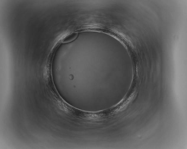 X0000113781405200909231306