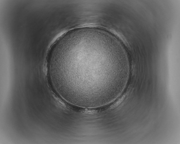 X0000113781406200909231306