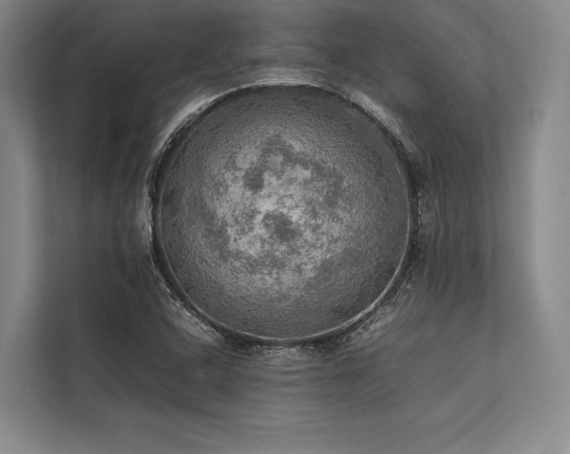 X0000113781408200909231306