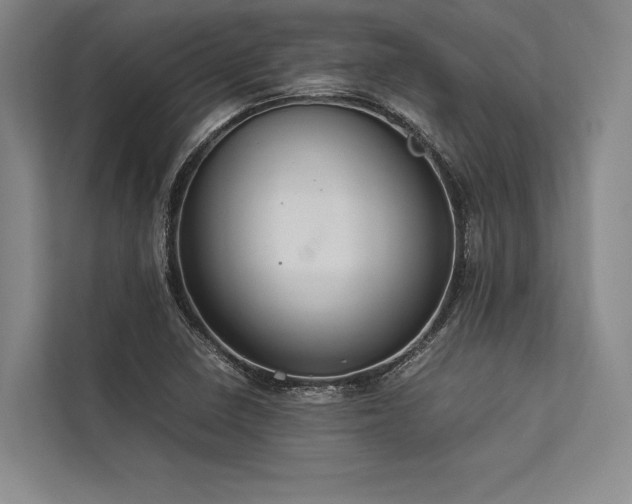 X0000113781410200909231306