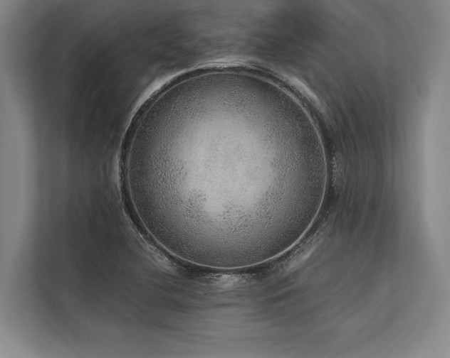 X0000113781412200909231306