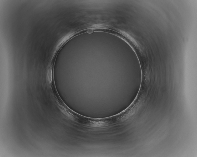 X0000113781413200909231306