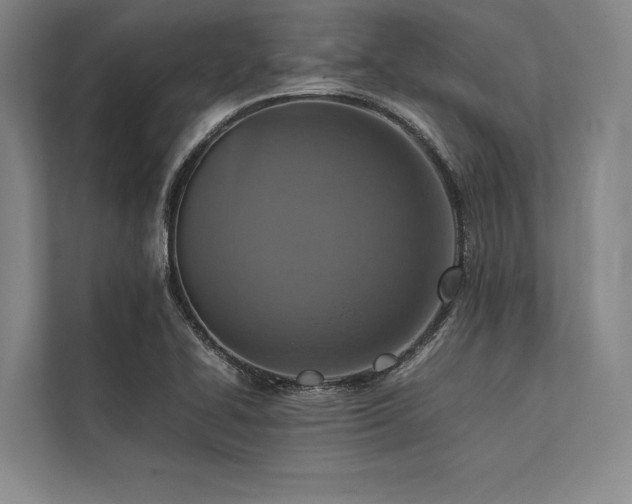 X0000113781414200909231306