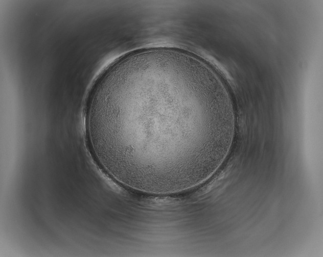 X0000113781416200909231306
